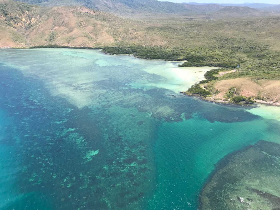 Aerial view of a seagrass meadow at Archer Point in Cape York